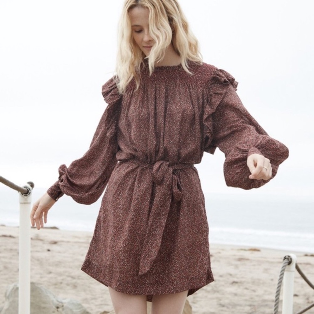 NWOT Döen Oliver Dress in Rust Ditzy Floral